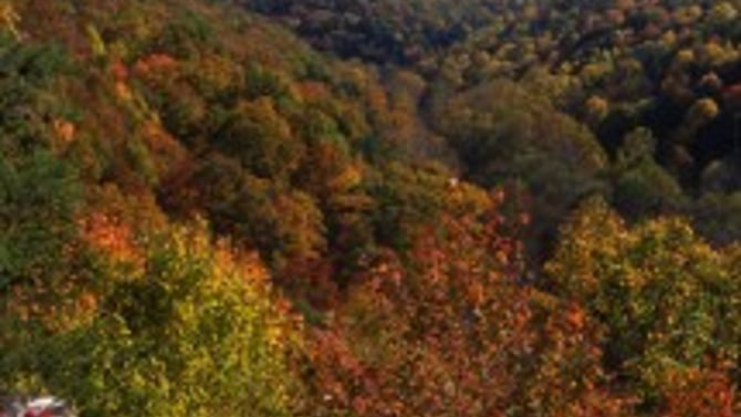 A Nature Lover’s Glimpse of Clear Creek Metro Park
