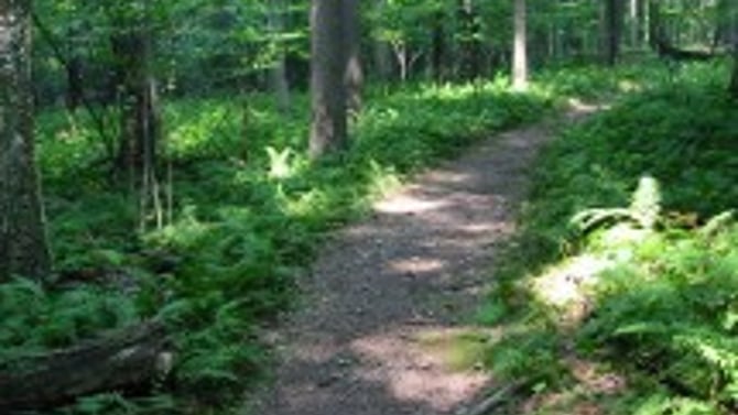 The Buckeye Trail