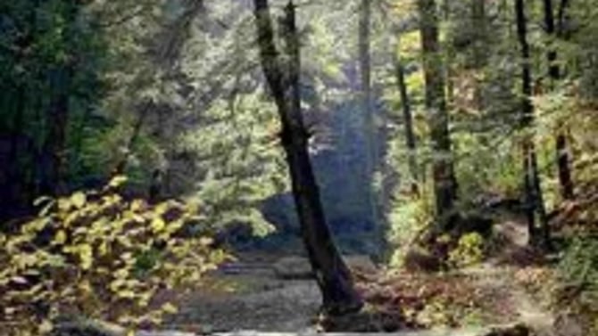 Old Man’s Cave Trail