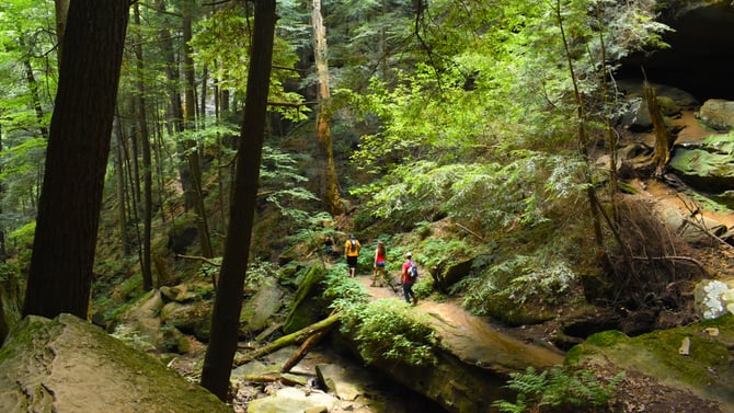 Embark on Hocking Hills Eco and Nature Tours