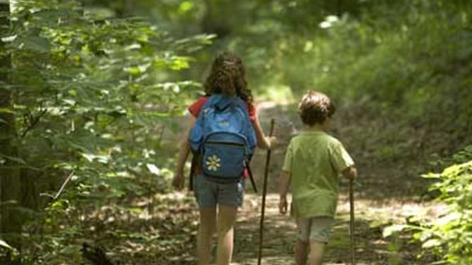 How to Enjoy a Hocking Hills Hiking Trip with Kids
