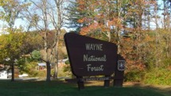 Wayne National Forest