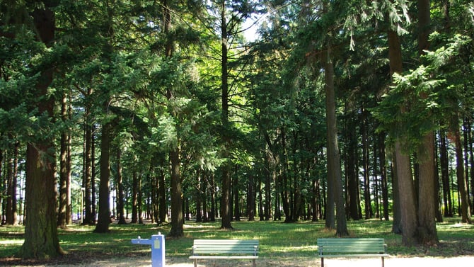 Highlights of the Hocking Hills Area