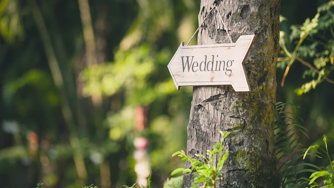 Say “I Do” in Nature with a Hocking Hills Wedding