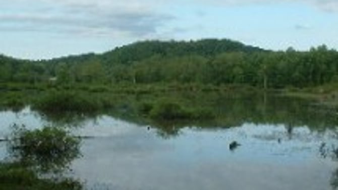 Kessler Swamp State Nature Preserve