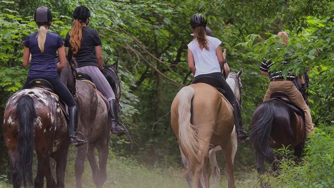 Horseback Riding