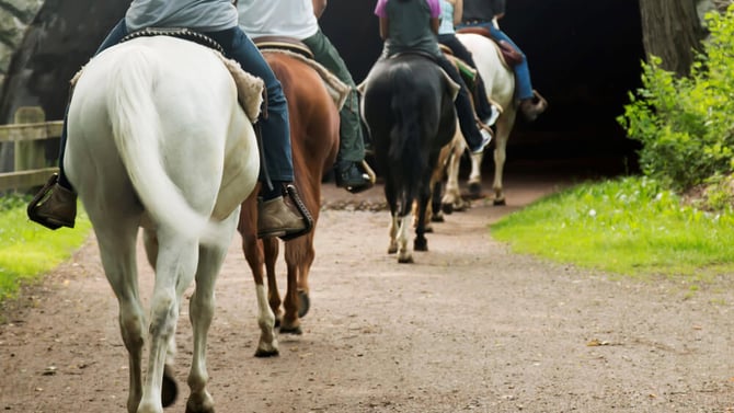 Explore Nature: Horseback Riding in Hocking Hills