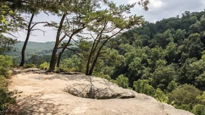 Conkle’s Hollow