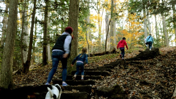How to Best Explore Cantwell Cliffs