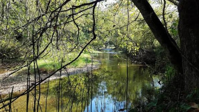 How to Plan a Hiking Trip to Clear Creek Metro Park