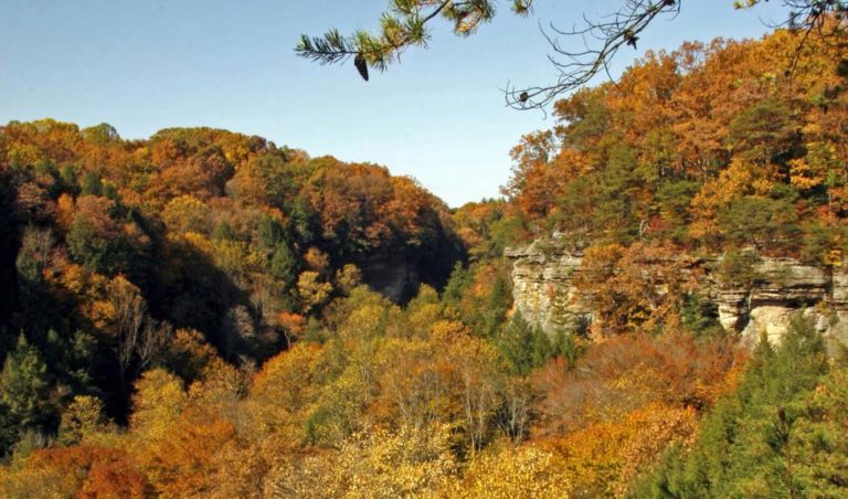 Favorite Hocking Hills Fall Foliage Driving Routes - Chalets At Hocking ...